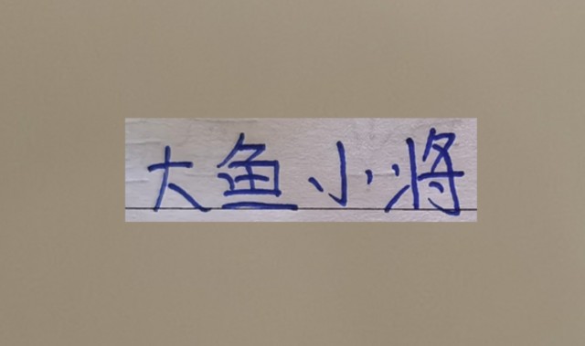 九州体育-超级杯海港新大鱼 带球和突破不亚于巴尔加斯！