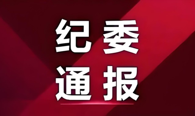 他接受纪律审查和监察调查