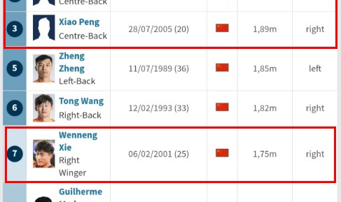 九州体育平台-德转更新泰山队35人名单，新外援号码确定，谢文能彭啸换号码