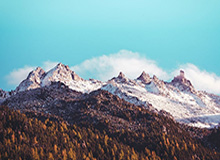 333体育｜电竞-官方网站：引领体育与电竞的新纪元