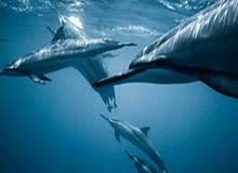 开云账号注册指南：轻松开启奢华购物之旅